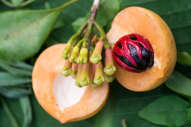 Zanzibar Spice Farm Half-Day Walking Tour - Clothing, comfort, and the walking conditions