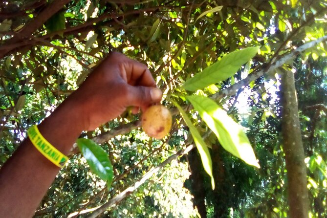 Zanzibar Spice Tour - Small creations and the human touch
