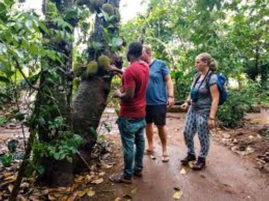 Zanzibar: Spice Tour & Stone Town Walking Tour - Timing, walking, and what to bring
