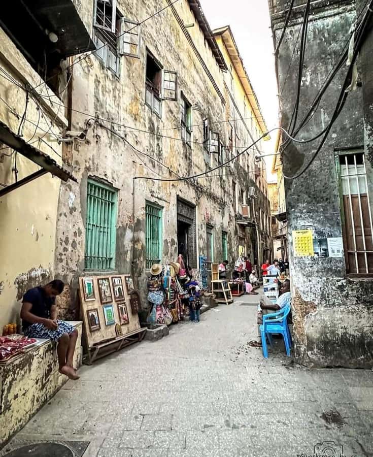 Zanzibar: Spice Tour & Stone Town Walking Tour - The human butterfly and the coconut tree show