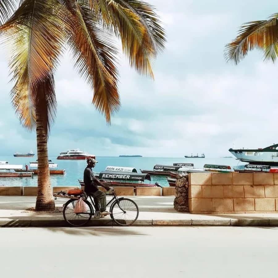 Zanzibar: Spice Tour & Stone Town Walking Tour - Freddy Mercury’s house and Stone Town landmarks