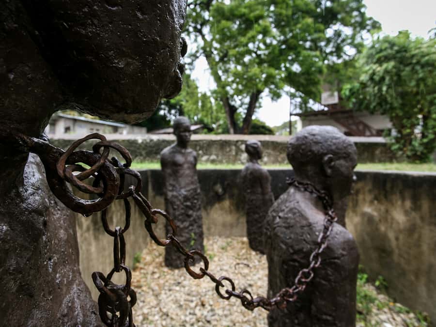 Zanzibar: Stone Town 3-Hour Walking Tour - Darajani Market, where the city feels most everyday