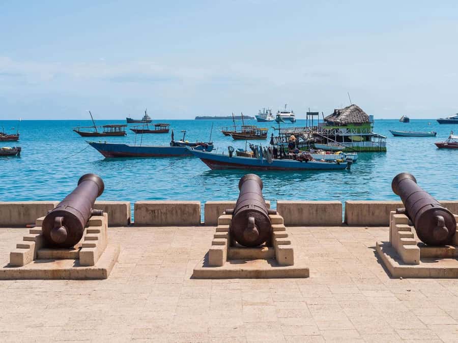 Zanzibar: Stone Town City Tour and Spice Farm with Lunch - City Market, fish auctions, and local produce