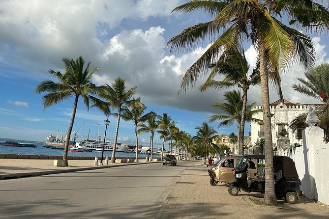 Zanzibar Stone Town Highlight walking tour - Who will get the most from this tour