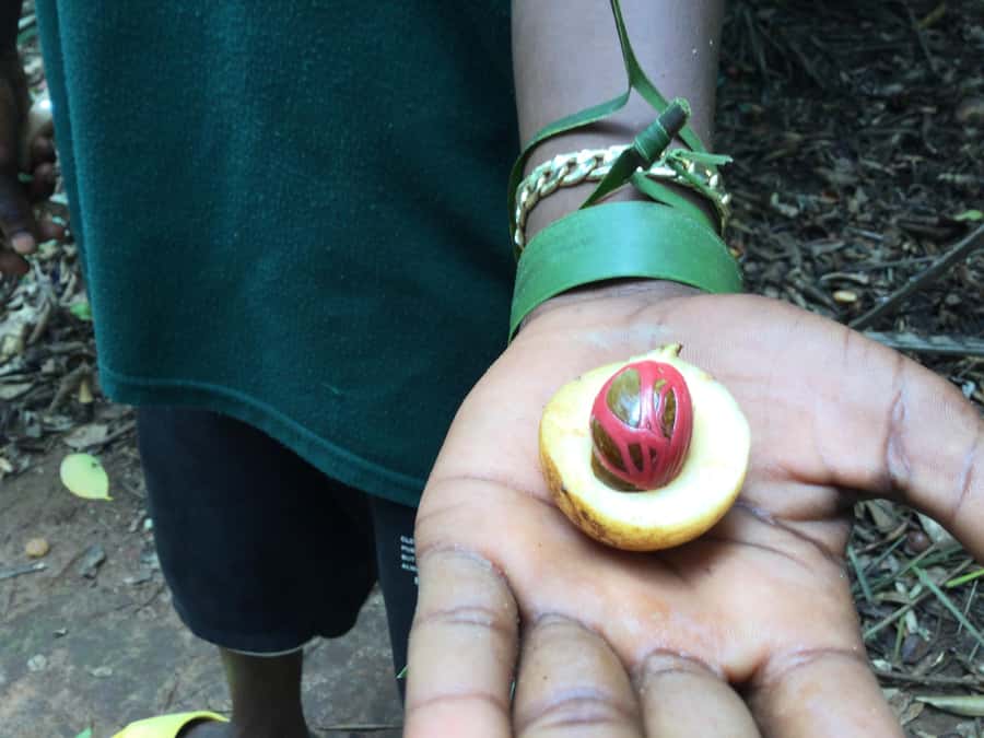 Zanzibar:Stone Town & Spice Farm Private Tour Lunch Included - Who should book this tour