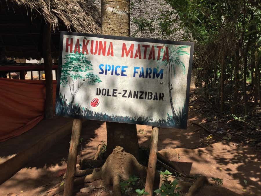 Zanzibar:Stone Town & Spice Farm Private Tour Lunch Included - City Market, fish auction, and the former slave market
