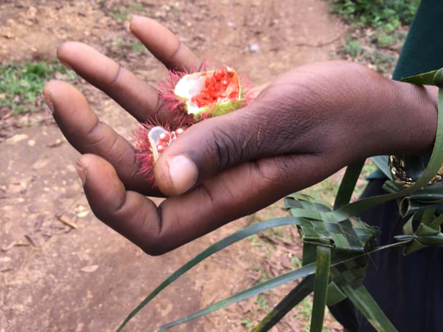 Zanzibar:Stone Town & Spice Farm Private Tour Lunch Included - Languages, guides, and the private advantage