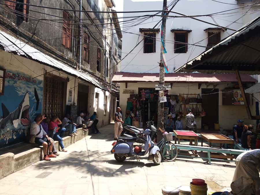 Zanzibar: Stone Town & Spice Farm Tour with Lunch - What the guides add to the experience