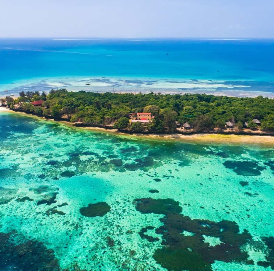 Zanzibar: Stone Town, Spice Tour, Prison Island with Lunch - The day in five useful details