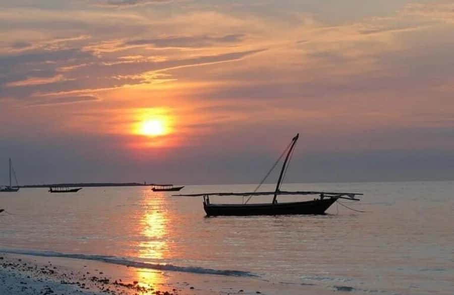 Zanzibar: Sunset Dhow Cruise in Stone town - What the guide adds on the water