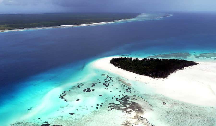 Zanzibar : Swim with dolphin + Snorkel mnemba coral Reef - Guides, languages, and the value of help in the water