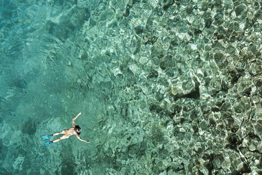 Zanzibar : Swim with dolphin + Snorkel mnemba coral Reef - Crowding and the question of responsible tourism