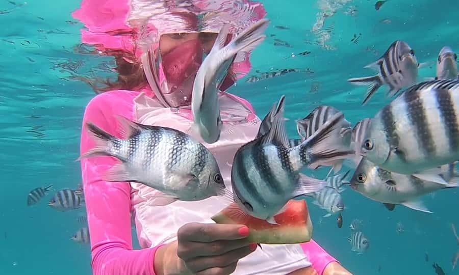 Zanzibar : Swim with dolphin + Snorkel mnemba coral Reef - What three and a half hours in the water feels like
