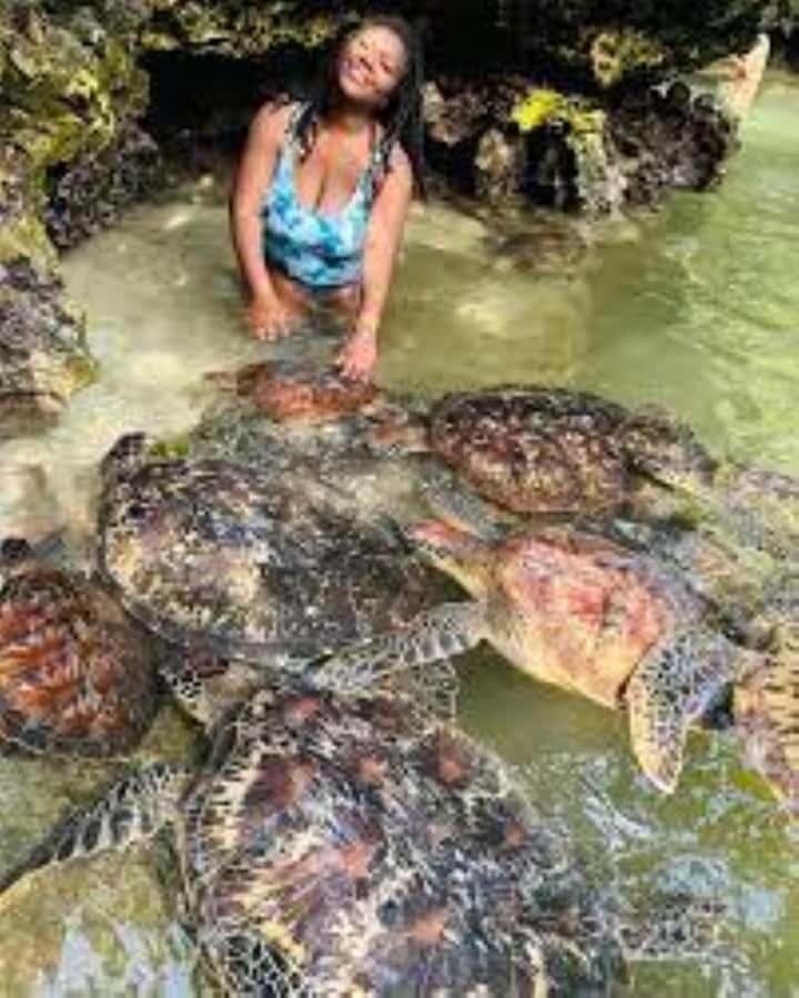 Zanzibar: Swim with Sea Turtles at Baraka or Salaam Aquarium - What the Guides Add