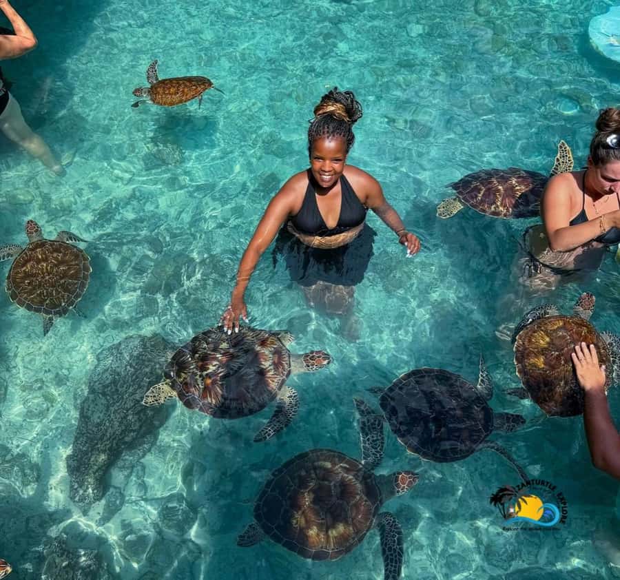 Zanzibar: Swimming with Turtles at Salaam Cave Aquarium - Entering Salaam Cave in Kizimkazi