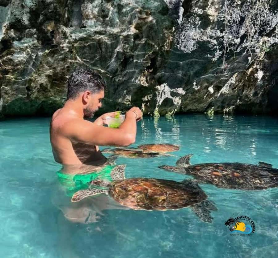 Zanzibar: Swimming with Turtles at Salaam Cave Aquarium - The setting is beautiful, but not completely natural