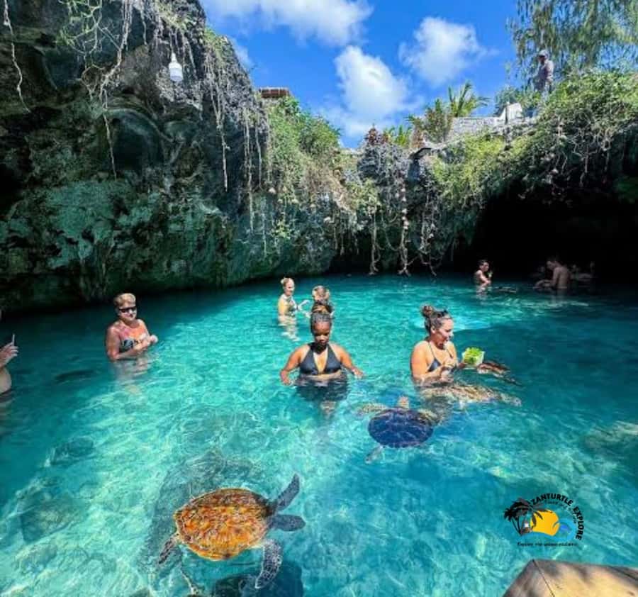 Zanzibar: Swimming with Turtles at Salaam Cave Aquarium - What the guide adds to the visit