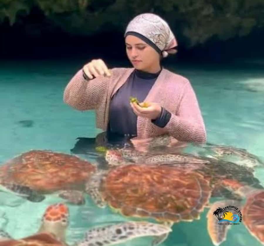Zanzibar: Swimming with Turtles at Salaam Cave Aquarium - Is $56 good value?