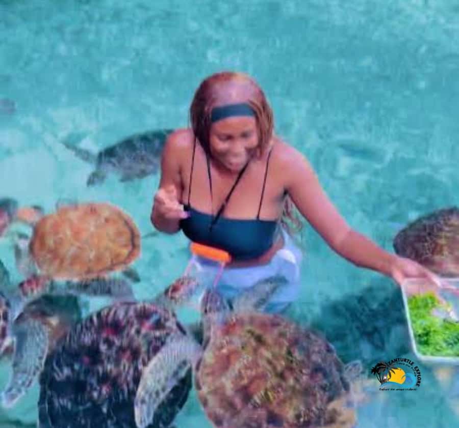 Zanzibar: Swimming with Turtles at Salaam Cave Aquarium - Who will enjoy this most?