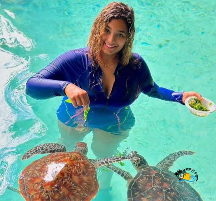 Zanzibar: Swimming with Turtles at Salaam Cave Aquarium - Practical preparation for a smoother visit