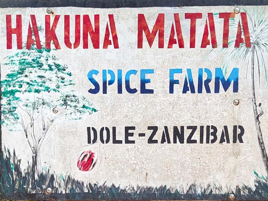 Zanzibar: The Swahili Spice Experience - Spice Tour + Culinary Journey - Who should book this experience