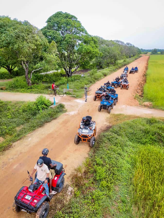 Zanzibar: Zenji ATV Tour - What the plantation section adds